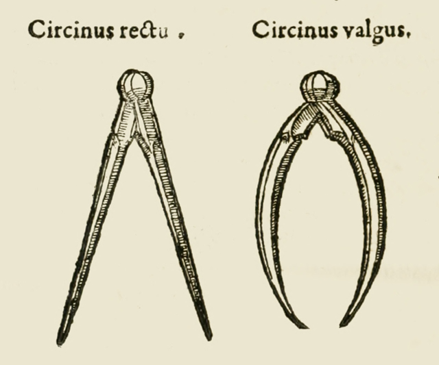 Caes Avgvstvm 1586 г. Иллюстрация стр. 104. Иллюстрации к книге 